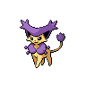 rattata